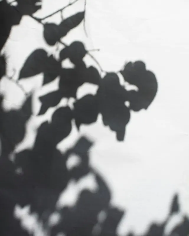 Black and white floral textile