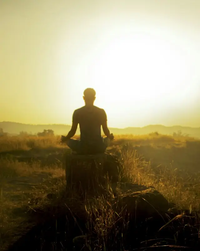 Man in black shirt sitting on brown grass during daytime