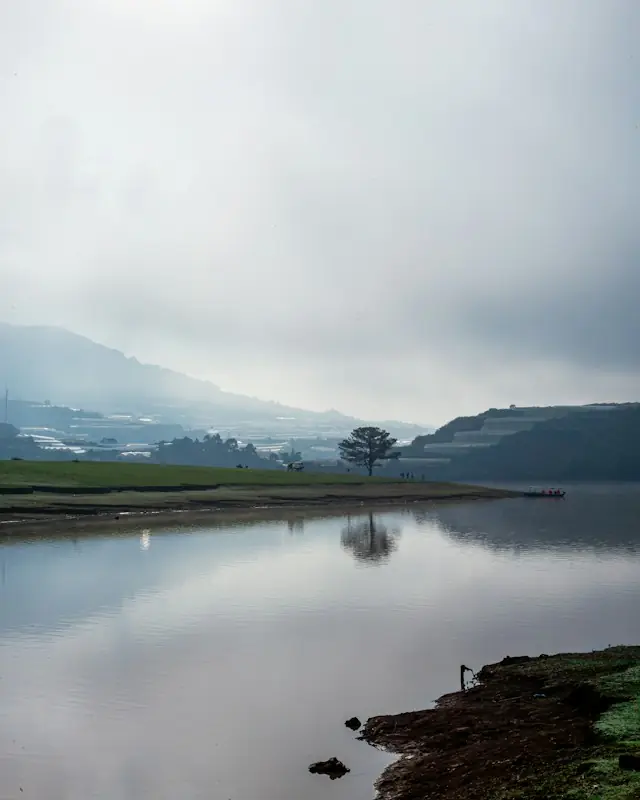 Lone tree reflected in calm water with misty mountains
