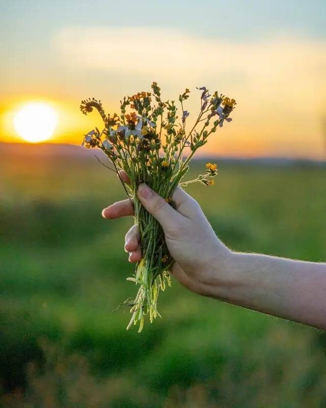 Person holding yellow flower during daytime