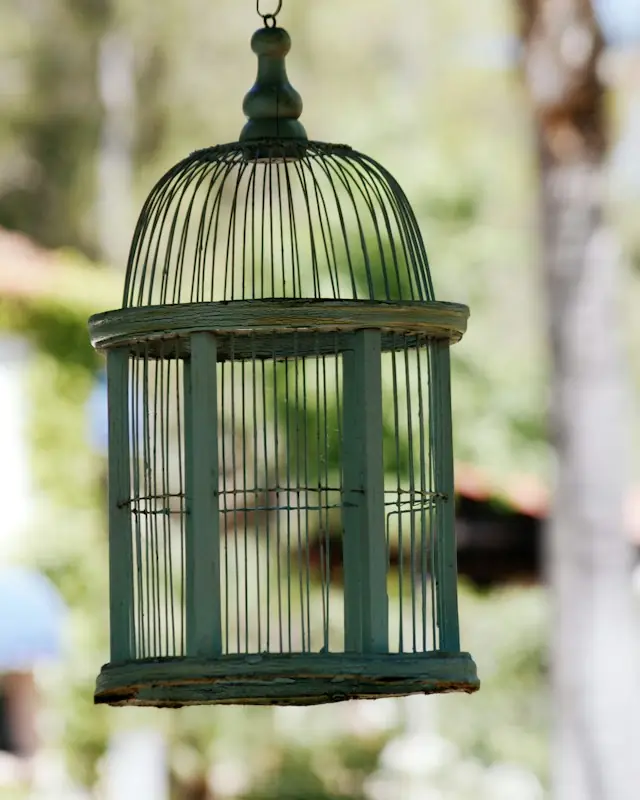 Green steel bird cage during daytime
